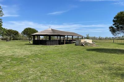 Miniature Location salle Saintes-Maries-de-la-Mer (Bouches-du-Rhône) - Manade Bec #16 Deux chevaux blancs derrière une clôture en bois, entourés d'herbes hautes sous un ciel bleu.