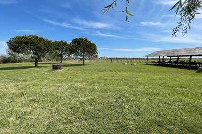 Miniature Location salle Saintes-Maries-de-la-Mer (Bouches-du-Rhône) - Manade Bec #18 Deux chevaux blancs derrière une clôture en bois, entourés d'herbes hautes sous un ciel bleu.