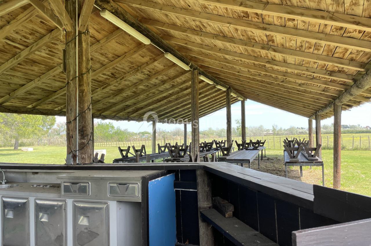 Abri en bois avec tables de pique-nique et comptoir, situé dans un espace extérieur verdoyant.