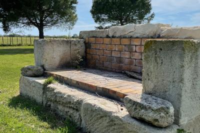 Miniature Location salle Saintes-Maries-de-la-Mer (Bouches-du-Rhône) - Manade Bec #20 Deux chevaux blancs derrière une clôture en bois, entourés d'herbes hautes sous un ciel bleu.