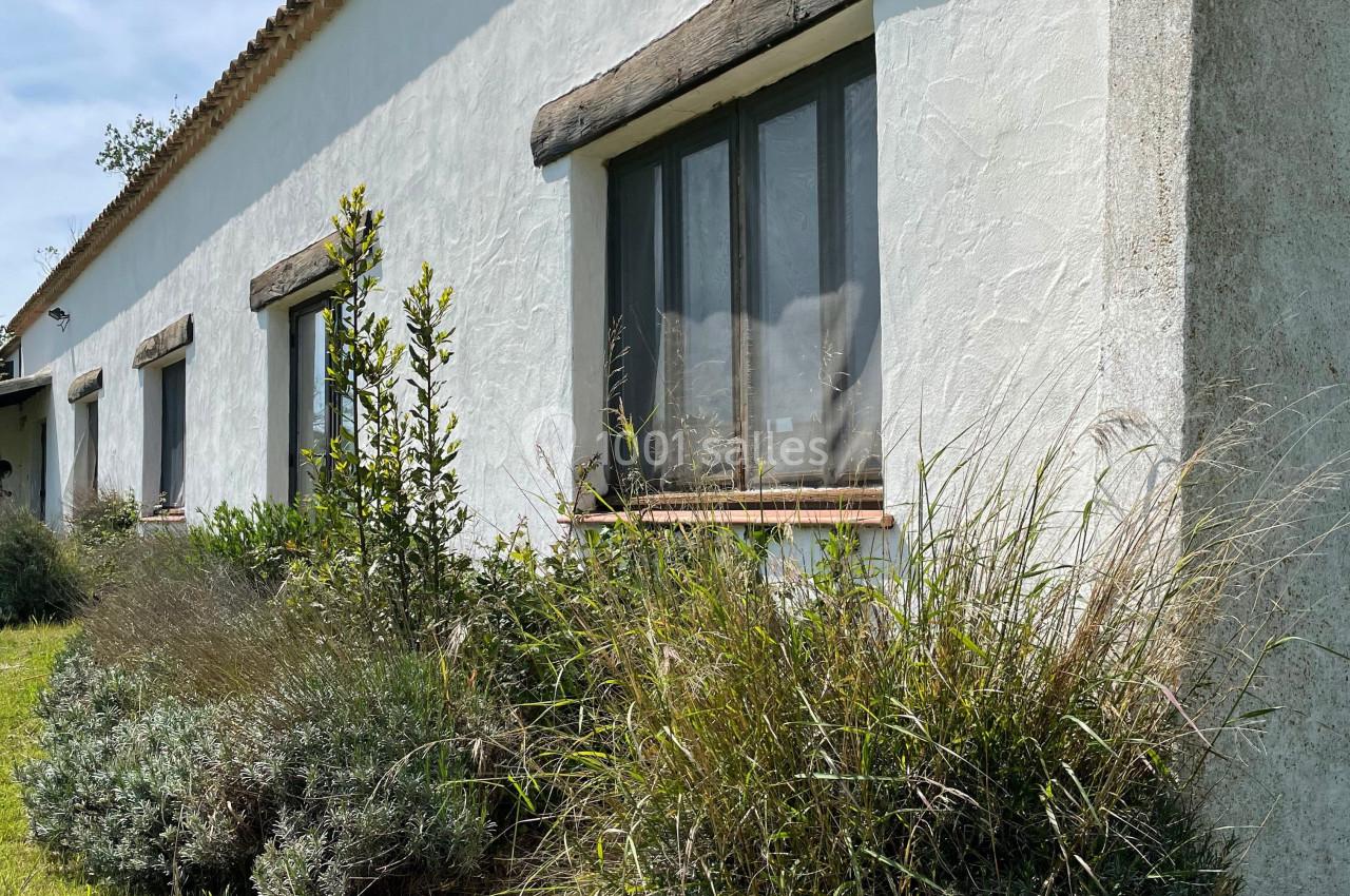 Façade blanche d'une maison avec des fenêtres encadrées de bois, entourée de végétation et d'herbes sous un ciel clair.