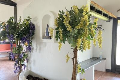 Miniature Location salle Saintes-Maries-de-la-Mer (Bouches-du-Rhône) - Manade Bec #29 Deux chevaux blancs derrière une clôture en bois, entourés d'herbes hautes sous un ciel bleu.