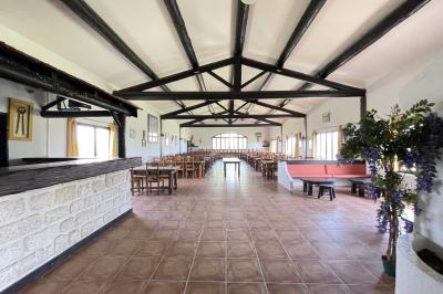 Miniature Location salle Saintes-Maries-de-la-Mer (Bouches-du-Rhône) - Manade Bec #30 Deux chevaux blancs derrière une clôture en bois, entourés d'herbes hautes sous un ciel bleu.