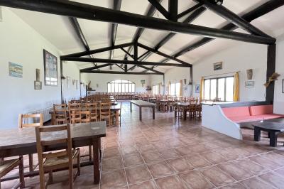 Miniature Location salle Saintes-Maries-de-la-Mer (Bouches-du-Rhône) - Manade Bec #31 Deux chevaux blancs derrière une clôture en bois, entourés d'herbes hautes sous un ciel bleu.