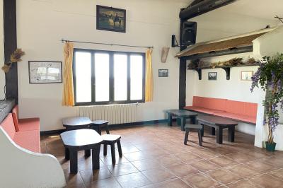 Miniature Location salle Saintes-Maries-de-la-Mer (Bouches-du-Rhône) - Manade Bec #32 Deux chevaux blancs derrière une clôture en bois, entourés d'herbes hautes sous un ciel bleu.