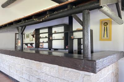 Miniature Location salle Saintes-Maries-de-la-Mer (Bouches-du-Rhône) - Manade Bec #34 Deux chevaux blancs derrière une clôture en bois, entourés d'herbes hautes sous un ciel bleu.