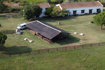 Miniature Location salle Saintes-Maries-de-la-Mer (Bouches-du-Rhône) - Manade Bec #36 Deux chevaux blancs derrière une clôture en bois, entourés d'herbes hautes sous un ciel bleu.