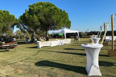 Miniature Location salle Saintes-Maries-de-la-Mer (Bouches-du-Rhône) - Manade Bec #10 Deux chevaux blancs derrière une clôture en bois, entourés d'herbes hautes sous un ciel bleu.