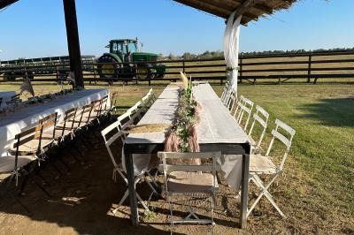 Miniature Location salle Saintes-Maries-de-la-Mer (Bouches-du-Rhône) - Manade Bec #9 Deux chevaux blancs derrière une clôture en bois, entourés d'herbes hautes sous un ciel bleu.