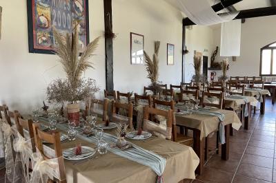 Miniature Location salle Saintes-Maries-de-la-Mer (Bouches-du-Rhône) - Manade Bec #5 Deux chevaux blancs derrière une clôture en bois, entourés d'herbes hautes sous un ciel bleu.