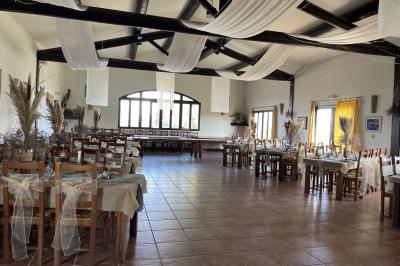 Miniature Location salle Saintes-Maries-de-la-Mer (Bouches-du-Rhône) - Manade Bec #4 Deux chevaux blancs derrière une clôture en bois, entourés d'herbes hautes sous un ciel bleu.