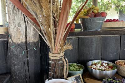 Miniature Location salle Saintes-Maries-de-la-Mer (Bouches-du-Rhône) - Manade Bec #11 Deux chevaux blancs derrière une clôture en bois, entourés d'herbes hautes sous un ciel bleu.