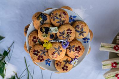 Traiteur Bois-le-Roi (Seine-et-Marne) - Chez Graze #67