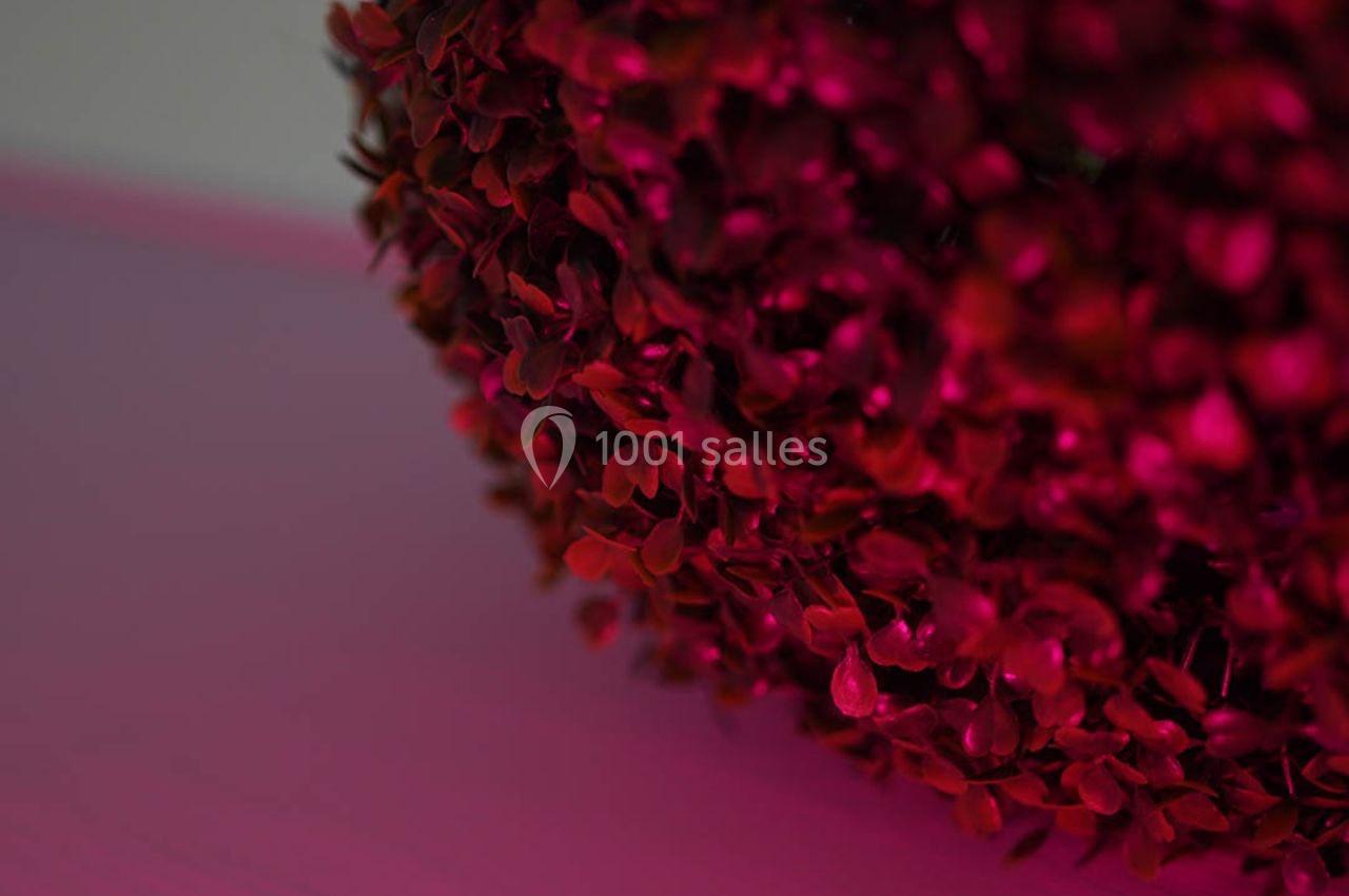 Location salle Ris-Orangis (Essonne) - Royale Tower #12