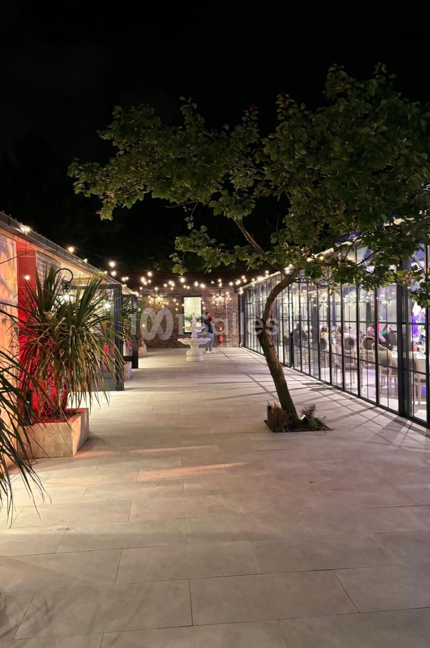 Allée extérieure éclairée la nuit, bordée de plantes, d'un arbre et de bâtiments vitrés illuminés.