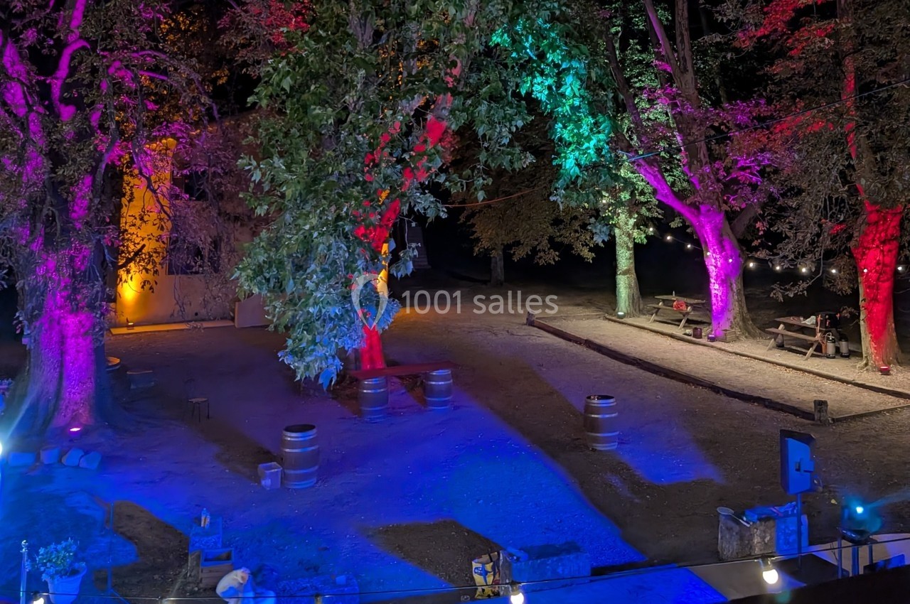 Éclairage coloré illuminant des arbres et un espace extérieur avec des tonneaux et des tables en soirée.