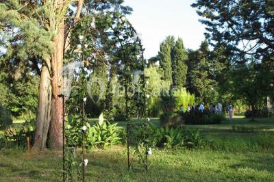 Miniature Location salle Noves (Bouches-du-Rhône) - Au Palais Gourmet - Dupas Traiteur #25 Gâteau de mariage à trois étages décoré de fleurs blanches, feuillages et roses crème au sommet.