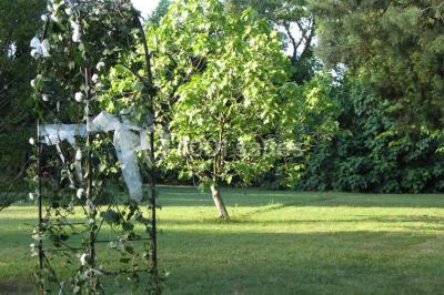 Miniature Location salle Noves (Bouches-du-Rhône) - Au Palais Gourmet - Dupas Traiteur #27 Gâteau de mariage à trois étages décoré de fleurs blanches, feuillages et roses crème au sommet.