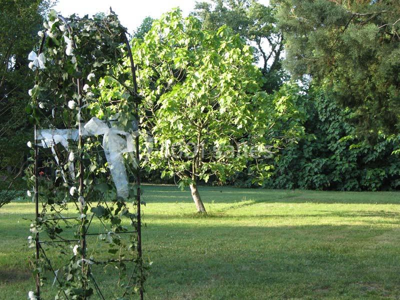 Arche décorée de feuillage et rubans blancs dans un jardin verdoyant avec un arbre isolé en arrière-plan.