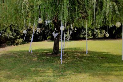 Miniature Location salle Noves (Bouches-du-Rhône) - Au Palais Gourmet - Dupas Traiteur #23 Gâteau de mariage à trois étages décoré de fleurs blanches, feuillages et roses crème au sommet.