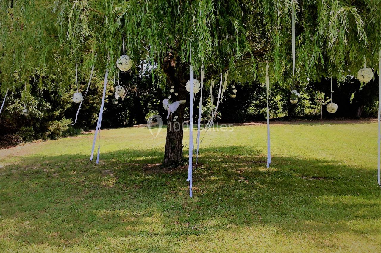 Arbre décoré de rubans blancs et de boules suspendues dans un parc verdoyant.
