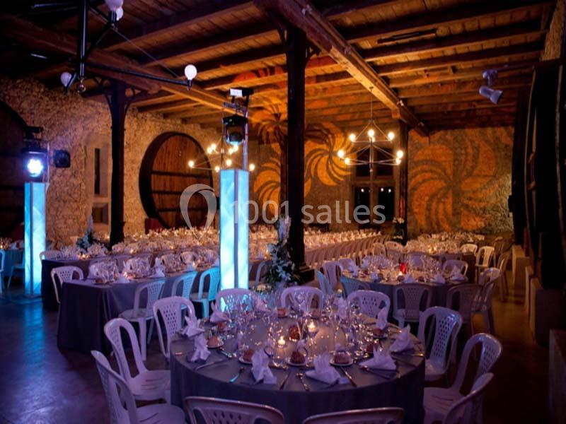 Location salle Salles-d'Aude (Aude) - Château Pech-Celeyran #4