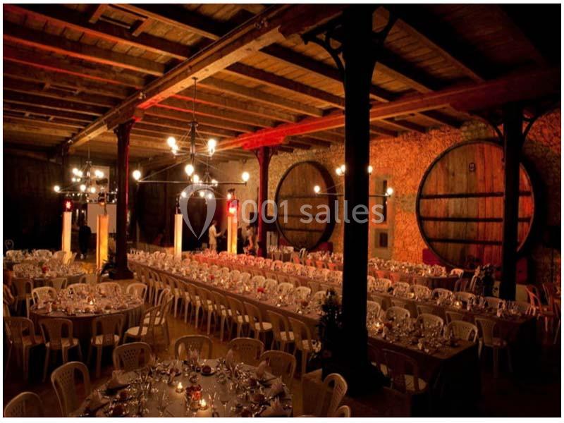 Location salle Salles-d'Aude (Aude) - Château Pech-Celeyran #19