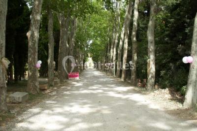 Miniature Location salle Salles-d'Aude (Aude) - Château Pech-Celeyran #15 Location salle Salles-d'Aude (Aude) - Château Pech-Celeyran #26