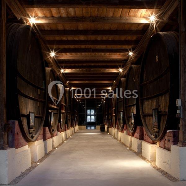 Location salle Salles-d'Aude (Aude) - Château Pech-Celeyran #23