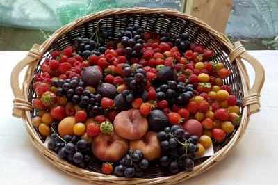 Des personnes préparent et dressent des assiettes avec des desserts dans une cuisine professionnelle.