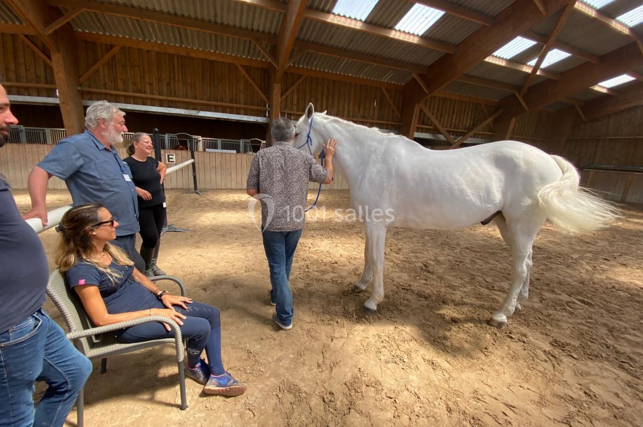 Un groupe de personnes observe un cheval blanc dans un manège couvert en bois.