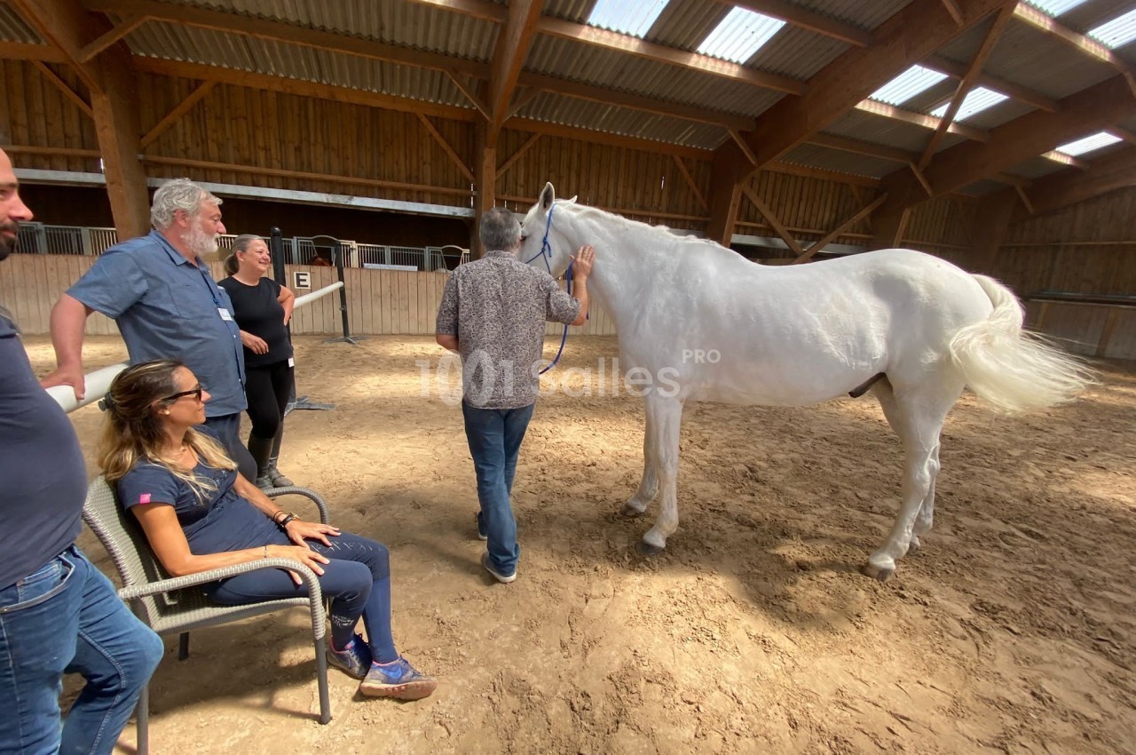 Un groupe de personnes observe un cheval blanc dans un manège couvert en bois.