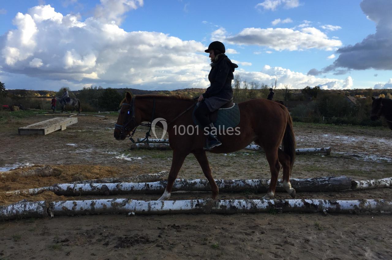 Une personne monte un cheval brun traversant des troncs d'arbres dans un paysage extérieur sous un ciel nuageux.