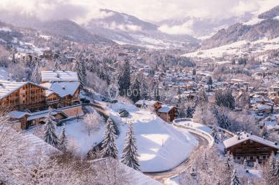 Hôtel l'Arboisie Megève - photo 1