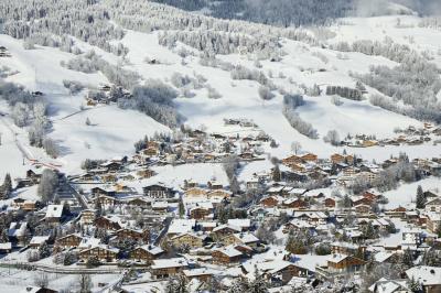 Hôtel l'Arboisie Megève - photo 3