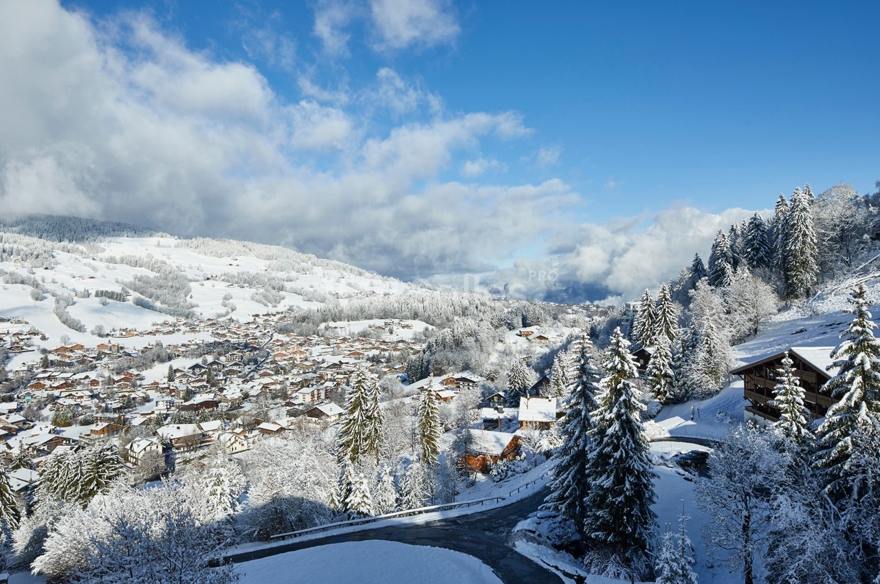 Hôtel l'Arboisie Megève - galerie - photo 8