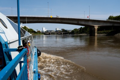 Papillon Bleu - photo 5