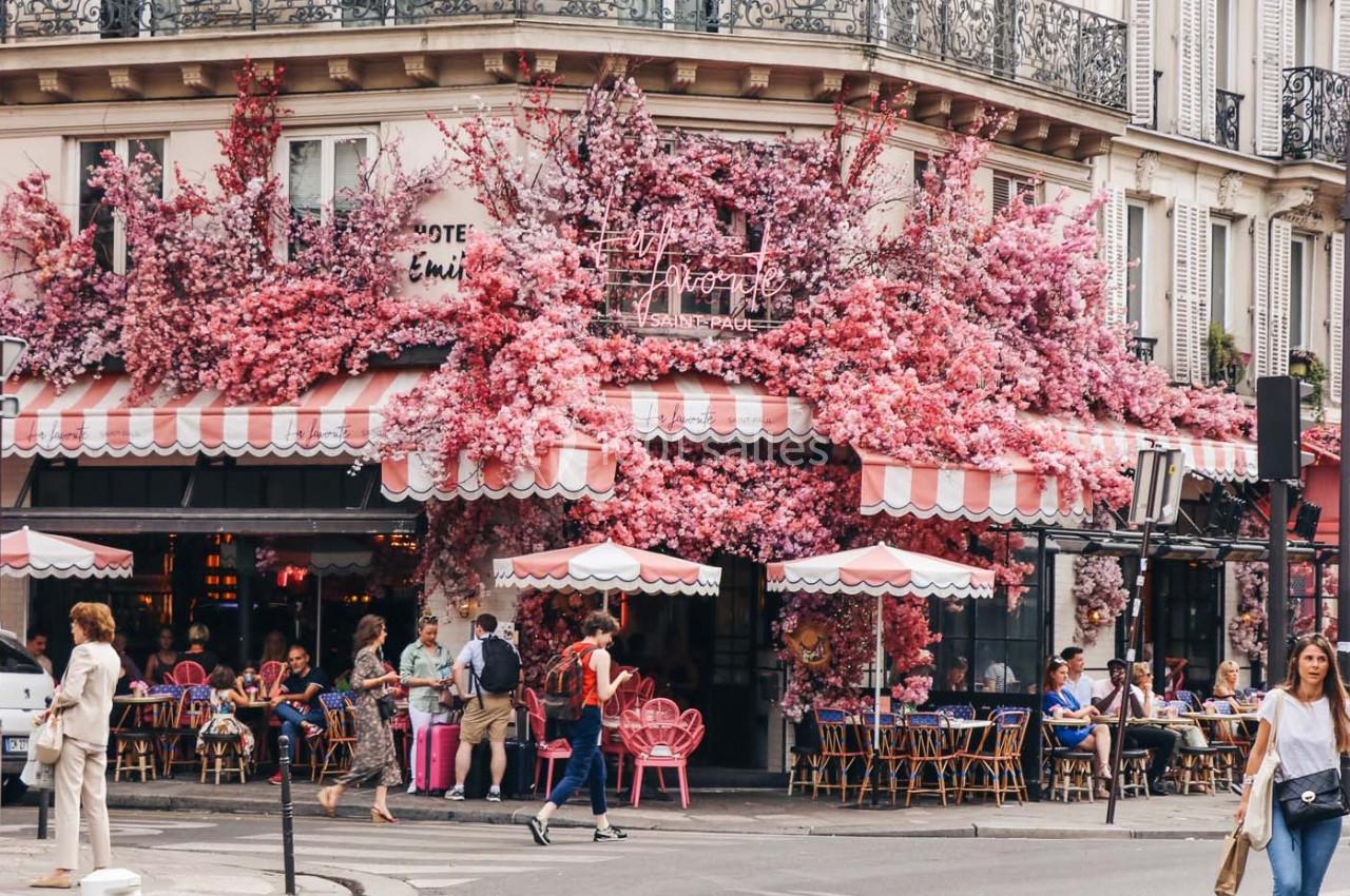 Location salle Paris 4 (Paris) - La Favorite Saint Paul #1