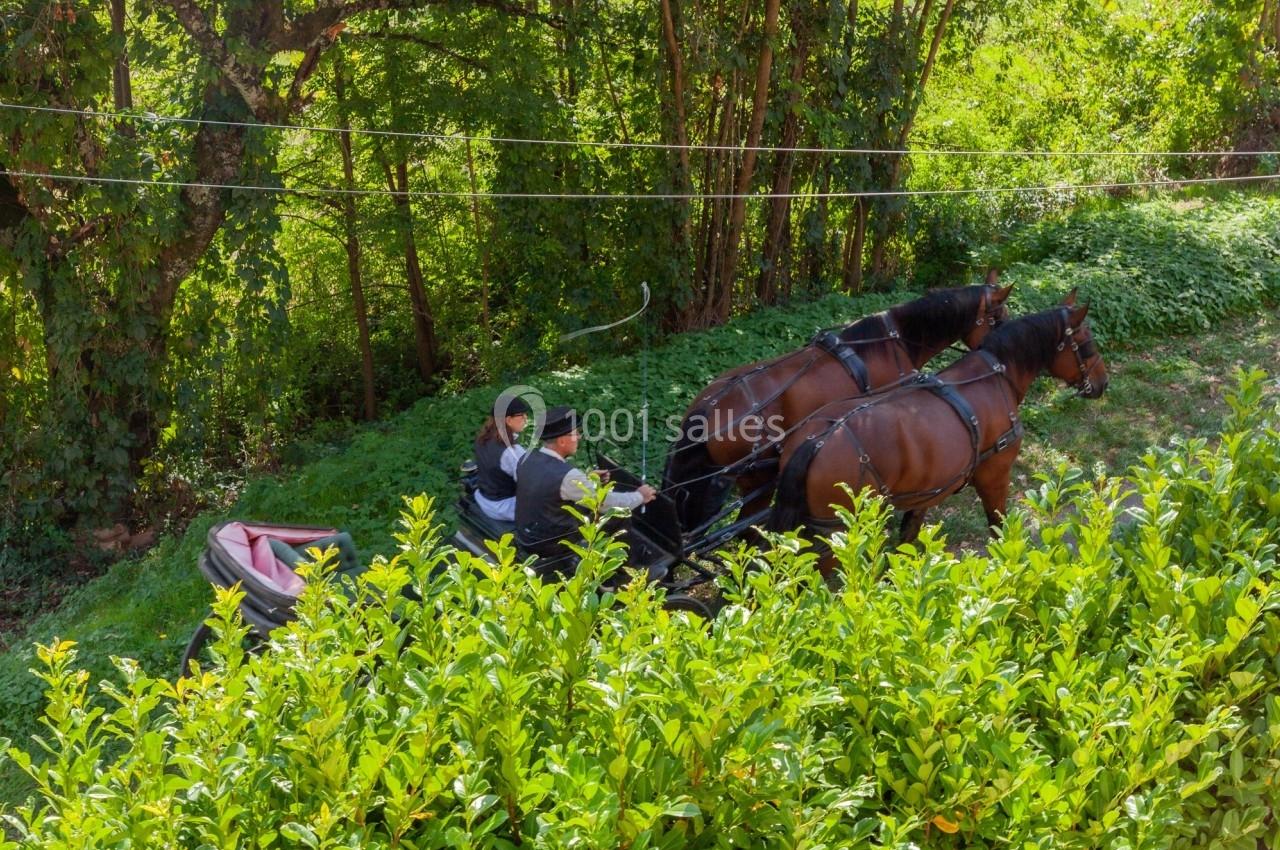 Deux chevaux bruns tirant une calèche avec deux personnes, sur un chemin bordé de végétation dense.