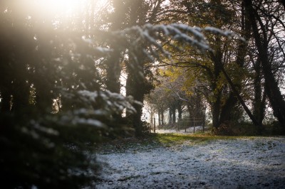Étang entouré de végétation dense au coucher du soleil, avec une lumière dorée illuminant les arbres et l'eau.
