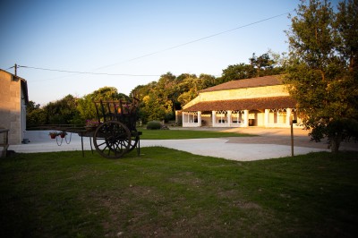 Étang entouré de végétation dense au coucher du soleil, avec une lumière dorée illuminant les arbres et l'eau.
