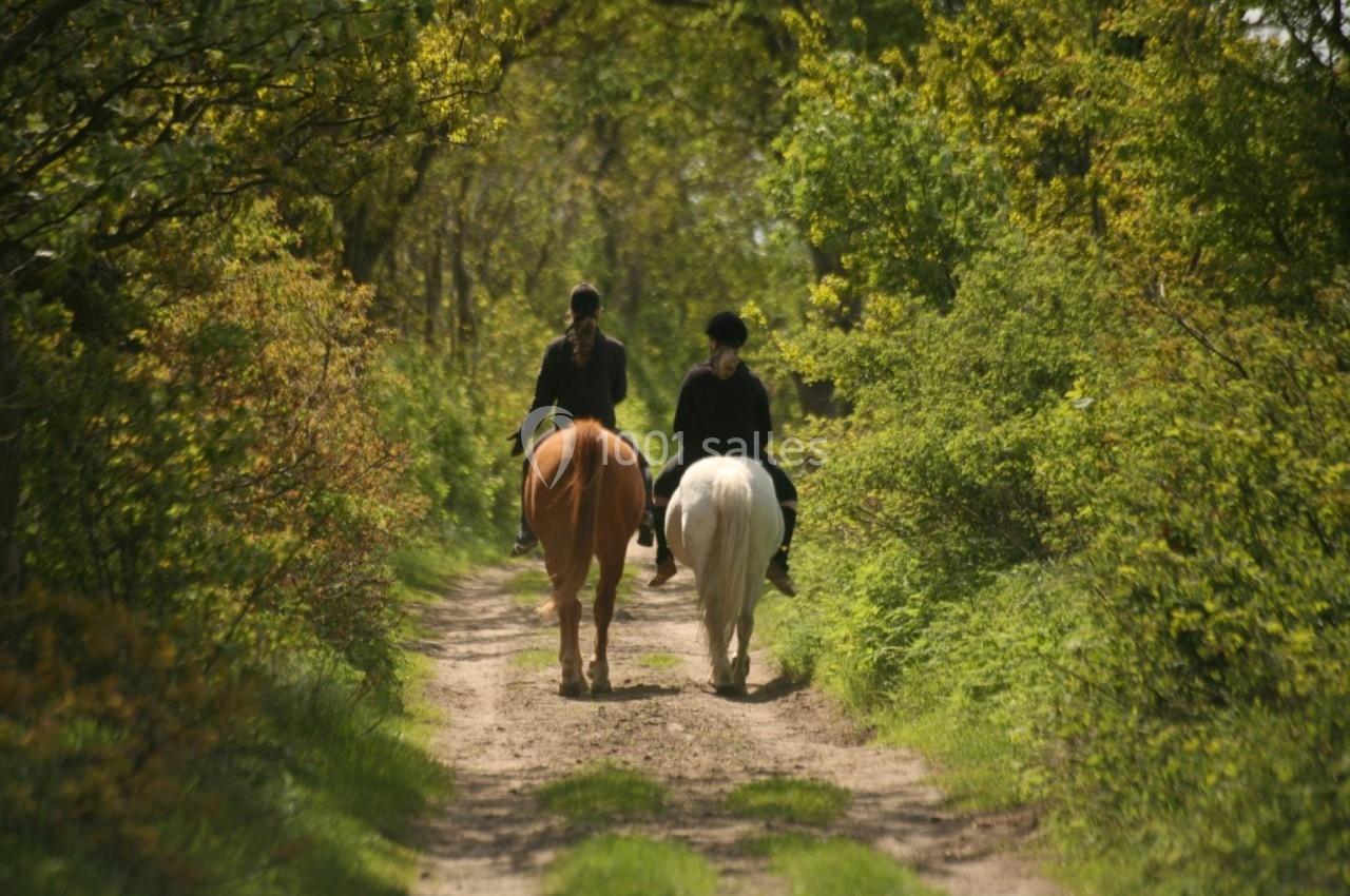 ACTIVITES AU DOMAINE Deux cavaliers montent des chevaux sur un chemin forestier entouré de verdure.