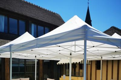 Miniature Location salle Saint-Samson-de-la-Roque (Eure) - Manoir Néo Normand #88 Passerelle en bois surplombant un jardin fleuri avec des arbres et un ciel dégagé en arrière-plan.