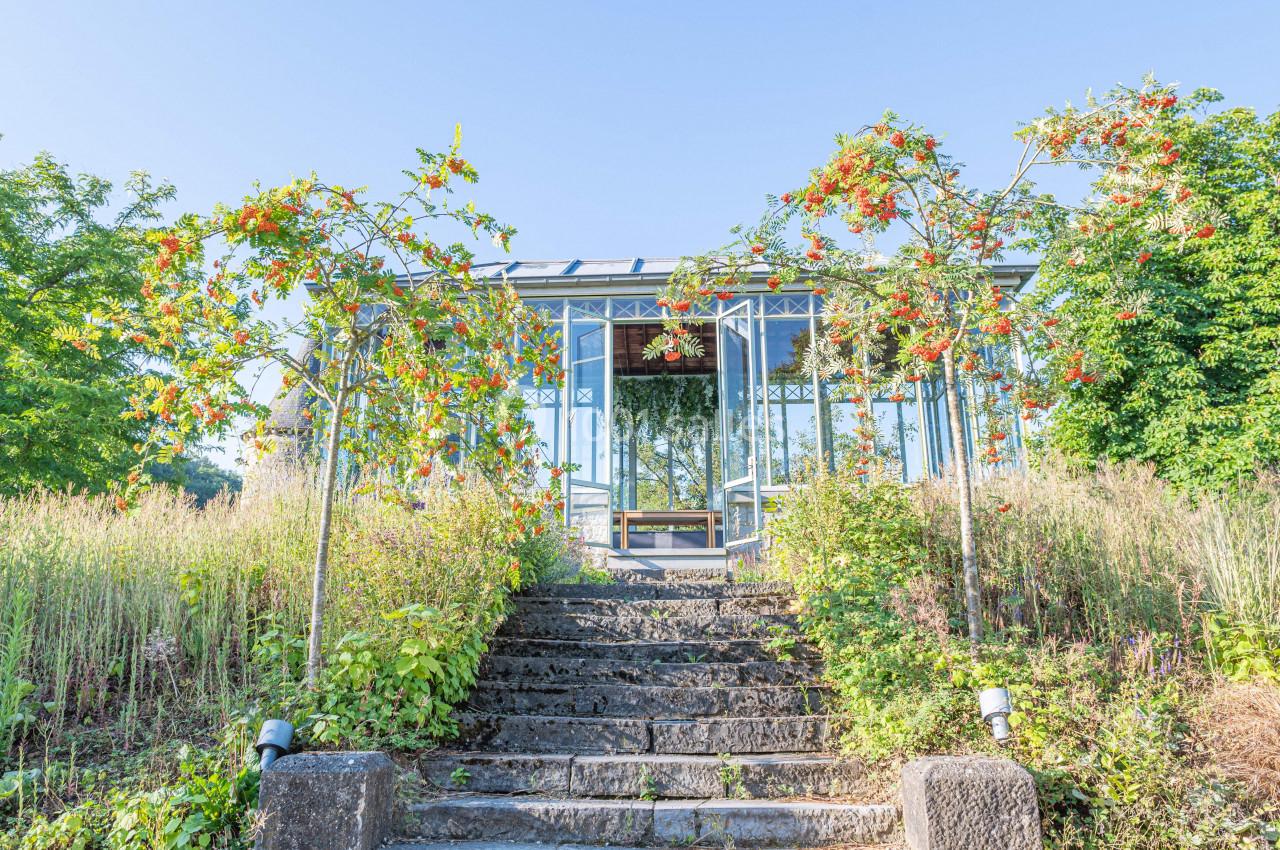 Escalier en pierre menant à une pergola entourée de végétation et d'arbres avec des baies rouges.