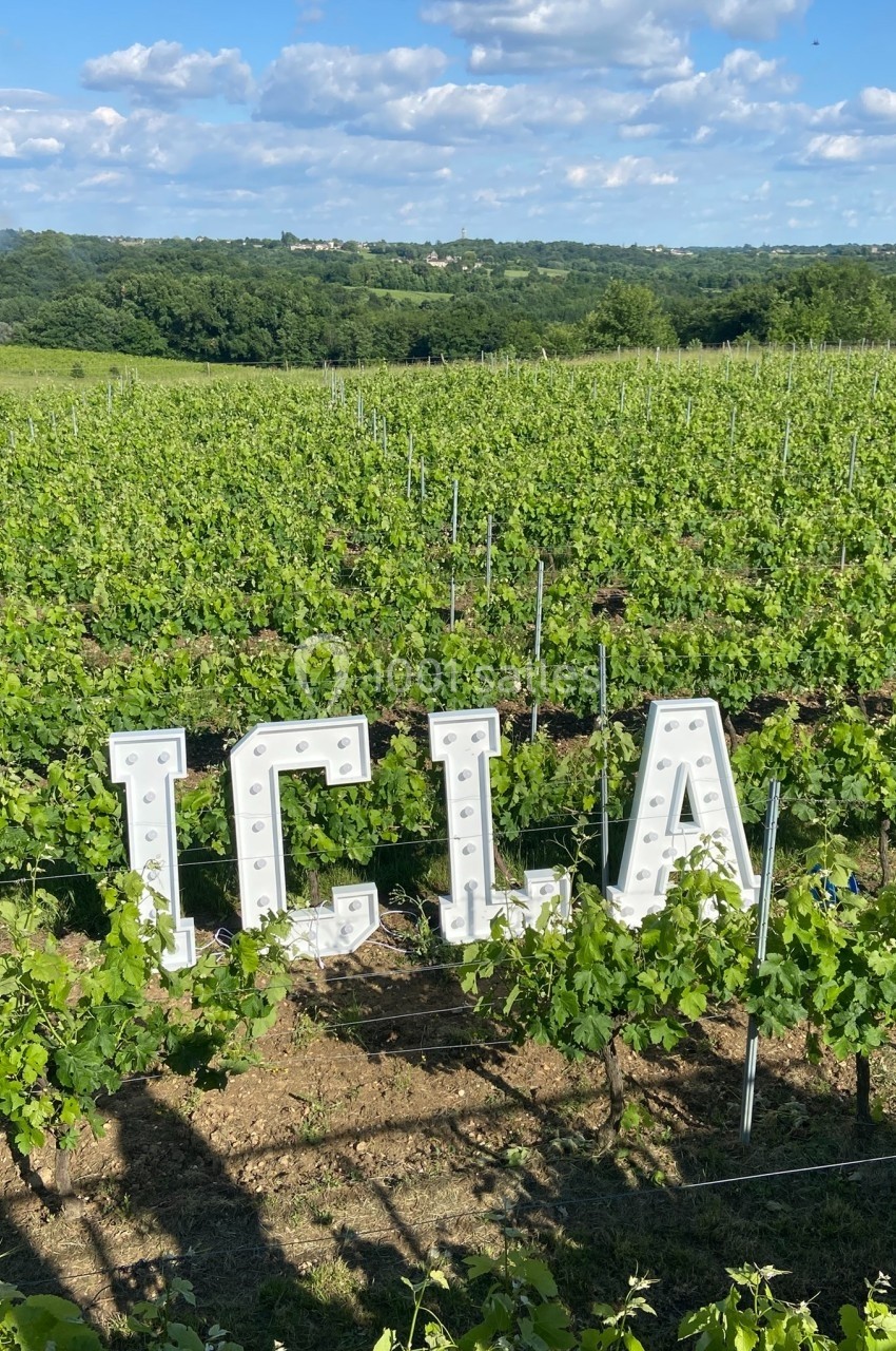 Location salle Saint-Genès-de-Lombaud (Gironde) - Domaine du Château Icla #30 Vignes verdoyantes sous un ciel bleu avec des lettres blanches lumineuses formant ’ICLA’ au premier plan.