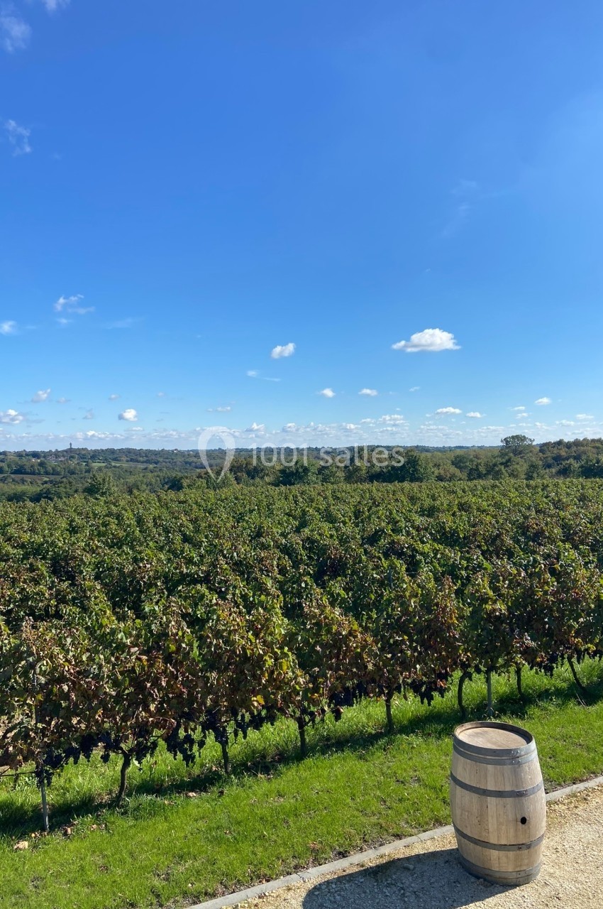 Location salle Saint-Genès-de-Lombaud (Gironde) - Domaine du Château Icla #32 Vignes verdoyantes sous un ciel bleu dégagé, avec un tonneau en bois au premier plan.