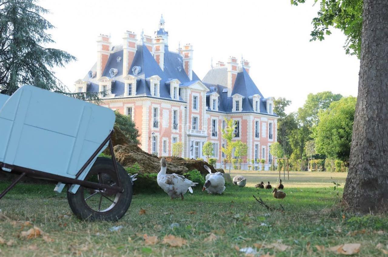 Le Château Nainville les Roches - galerie - photo 26