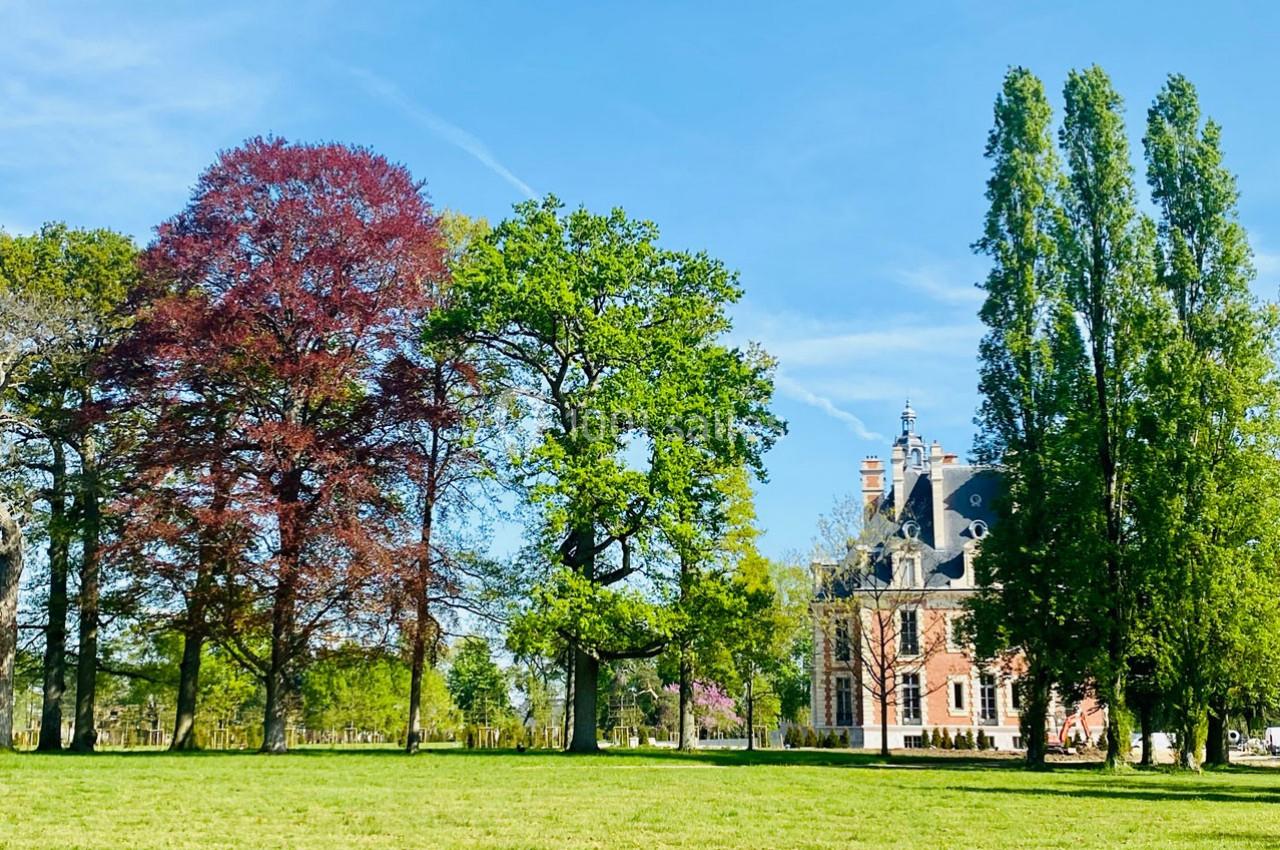 Le Château Nainville les Roches - galerie - photo 21