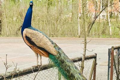 Miniature Location salle Nainville-les-Roches (Essonne) - Le Château Nainville les Roches #37 Location salle Nainville-les-Roches (Essonne) - Le Château Nainville les Roches #37