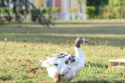 Miniature Location salle Nainville-les-Roches (Essonne) - Le Château Nainville les Roches #29 Location salle Nainville-les-Roches (Essonne) - Le Château Nainville les Roches #37